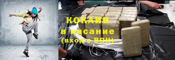 дурь Бородино