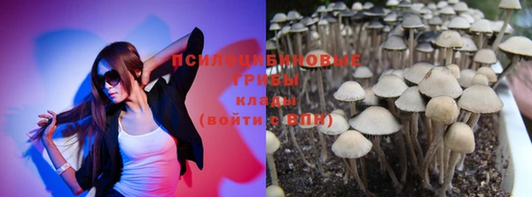 трава Бугульма