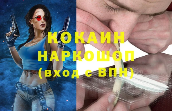 дурь Бородино