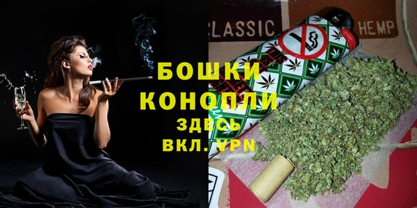 шишки Бронницы