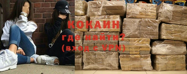 дурь Бородино