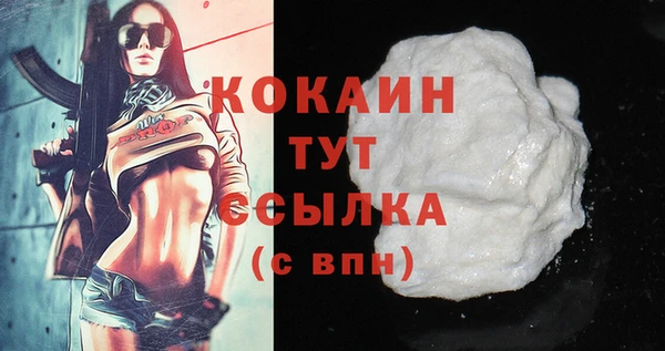 дурь Бородино