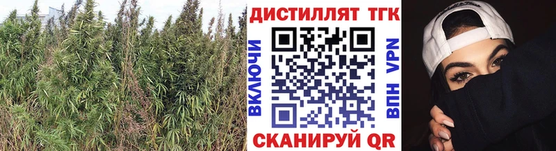 ТГК THC oil  дарнет шоп  Сосногорск 