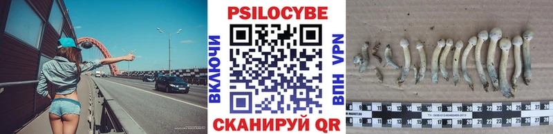 Псилоцибиновые грибы мицелий  Сосногорск 